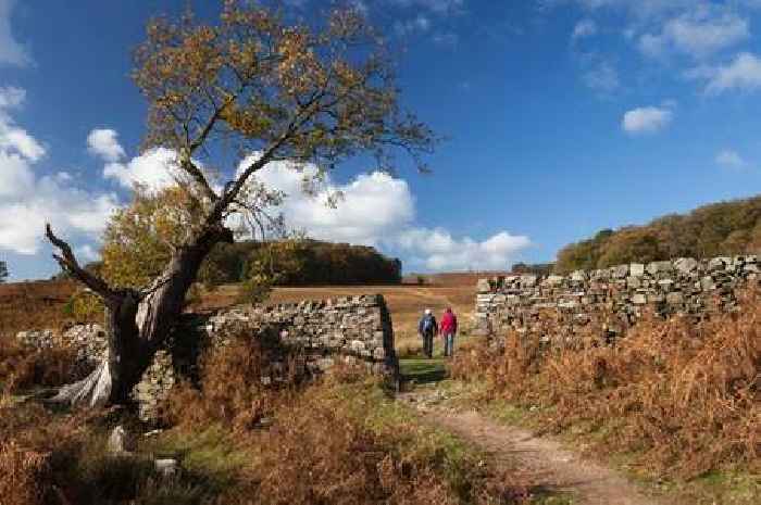 Leicestershire's most popular walking trails from Bradgate Park to Bosworth Battlefield