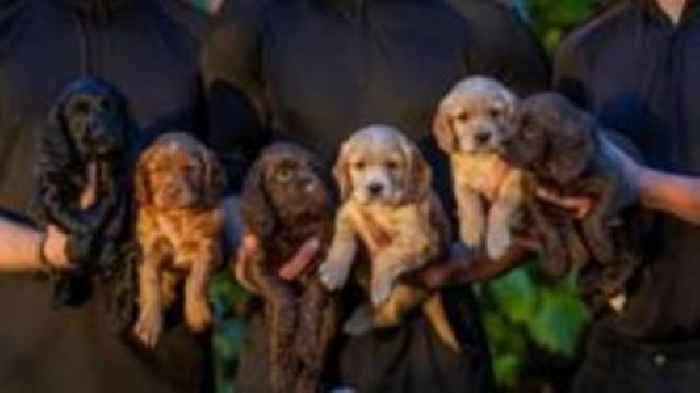 WW1 names for police's Remembrance Sunday pups