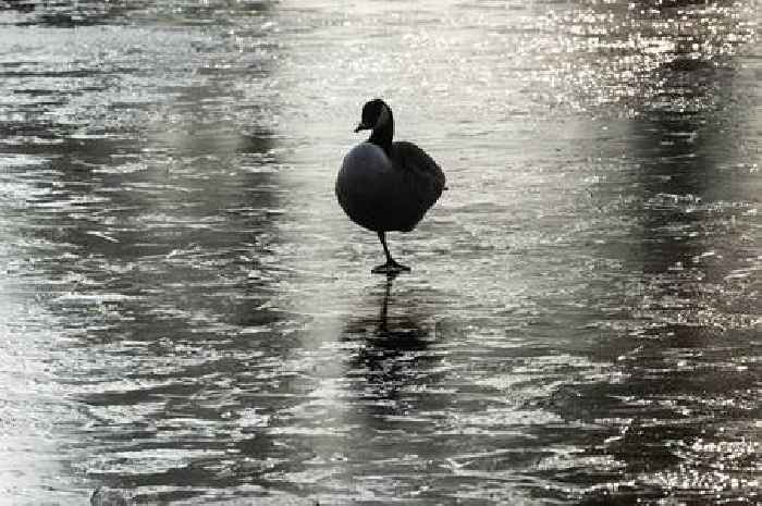 Met Office issues 36-hour snow and ice weather warning for Surrey