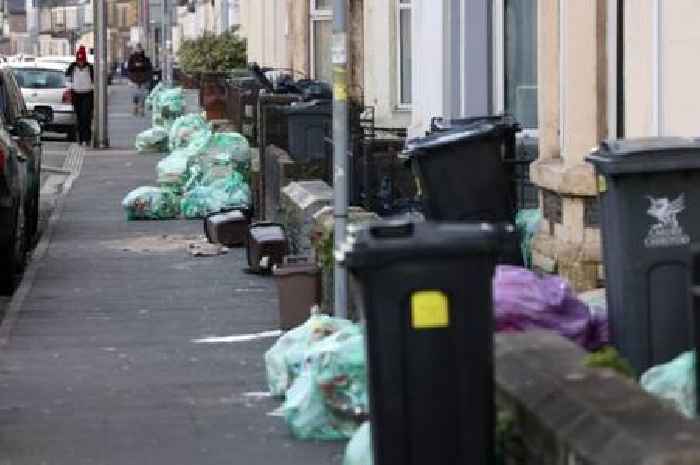 Four new bin collection rules in England from March 2025 to end 'confusing' system