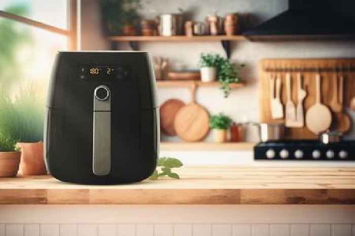 Air fryer cooking process revealed in TikTok video - and viewers are stunned