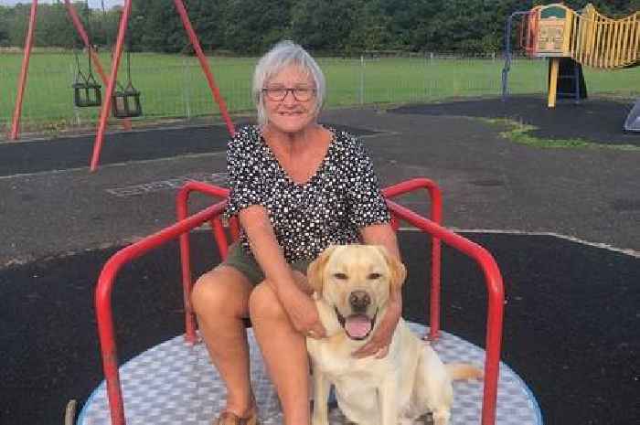 Woman tragically killed in Paisley hit-and-run named by police