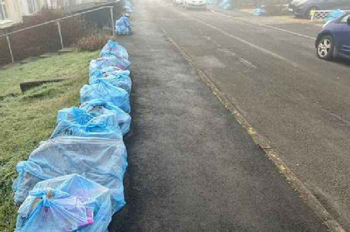 Council tells people they put out too much rubbish after Christmas