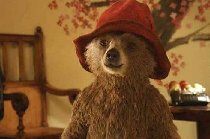 Paddington 4 update as producer delivers news about future