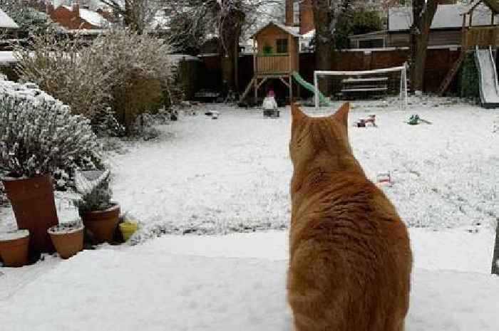 Live updates as Gloucestershire to be hit by amber snow warning