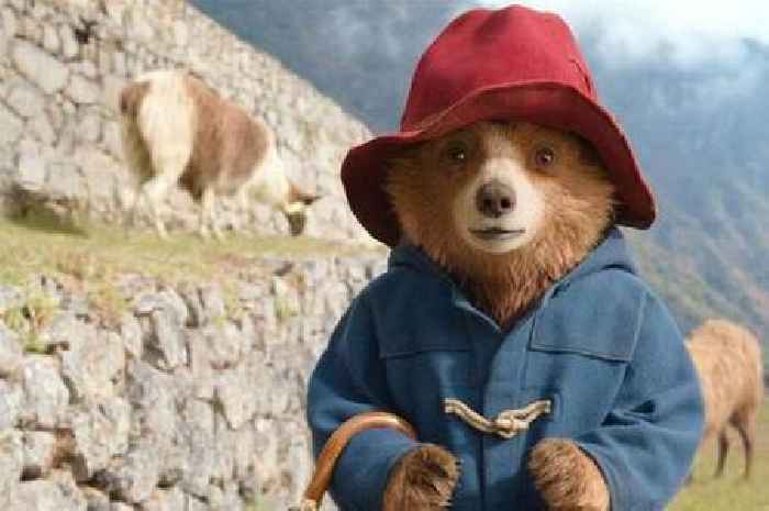 Paddington 4 update after third film's box office success - but it's not good news