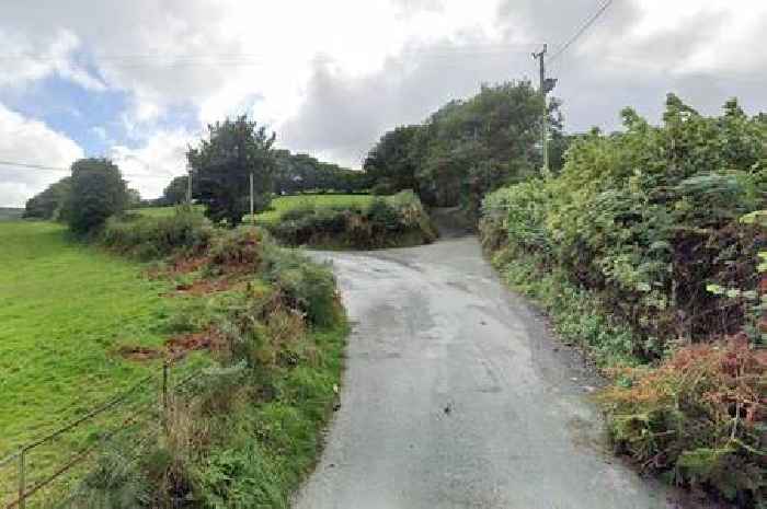 Fake Aldi store on sat nav causes chaos in rural Wales with delivery lorry stuck and drivers baffled