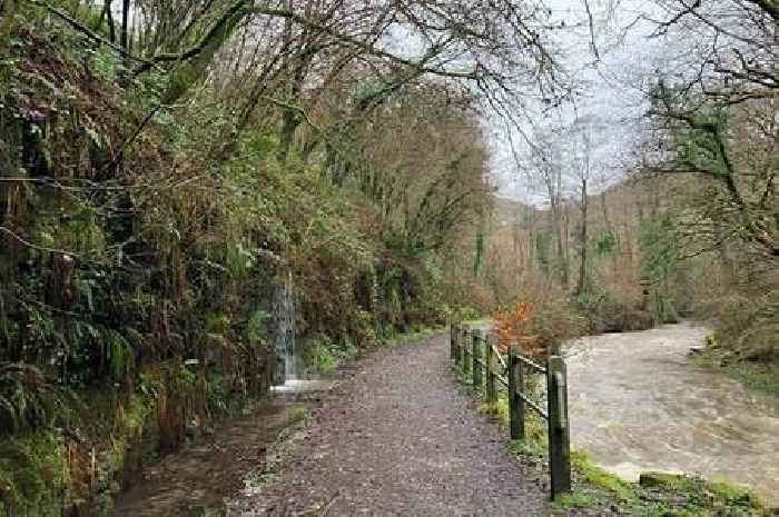 The tranquil river walk just off a motorway junction with rare birds and a snuggly country pub to finish