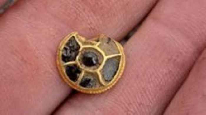 Detectorist unearths warrior's gold scabbard stud