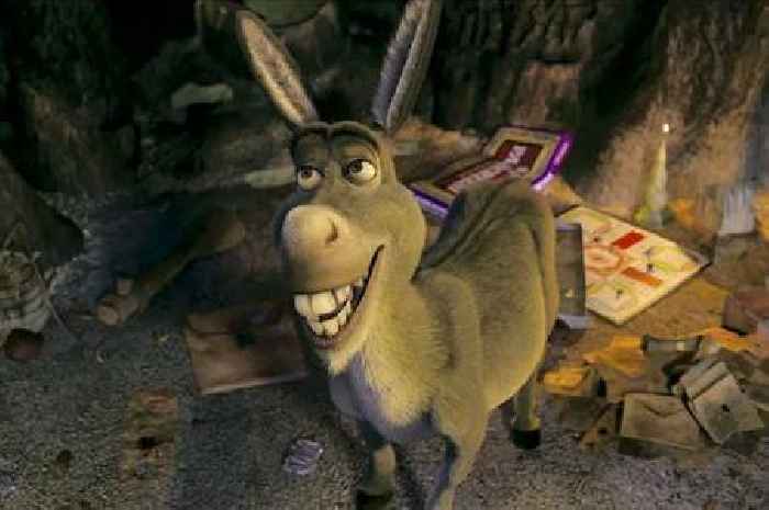 Beloved donkey that inspired Eddie Murphy's character in Shrek dies aged 30