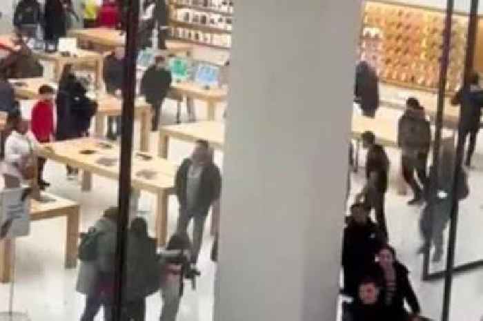 Masked yobs raid Apple store in busy shopping centre as petrified families flee