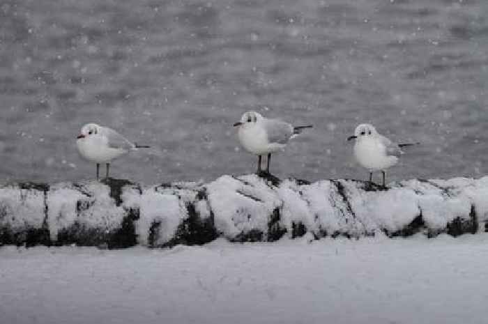 Dumfries and Galloway hit by new snow and ice weather warning as freezing temperatures set to continue