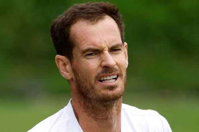 Andy Murray slammed for 'circus' retirement and return to tennis as Novak Djokovic's coach