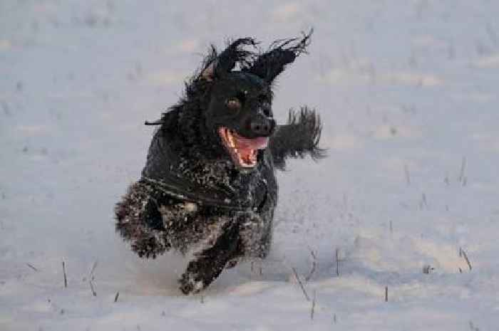 UK set for NEW 12-inch snow bomb with exact hour flurries return announced