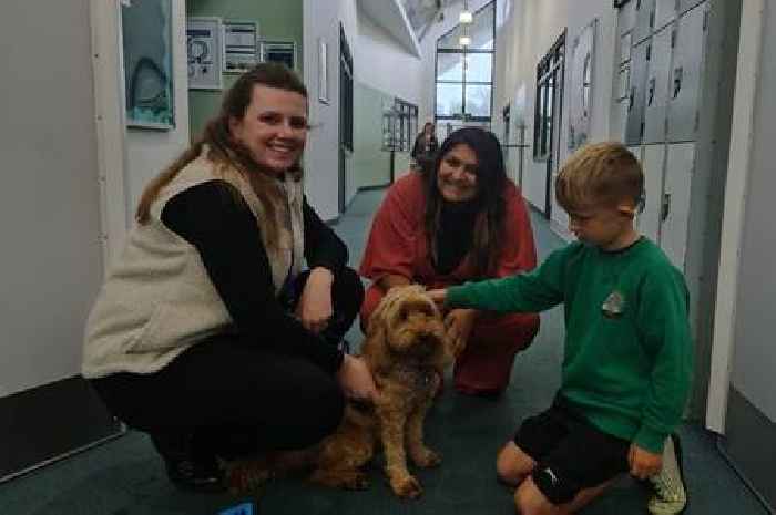 Therapy dog brings pawsitive vibes to school for students and staff alike