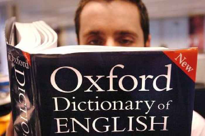 Video game terminology and Dutch word added to Oxford English Dictionary