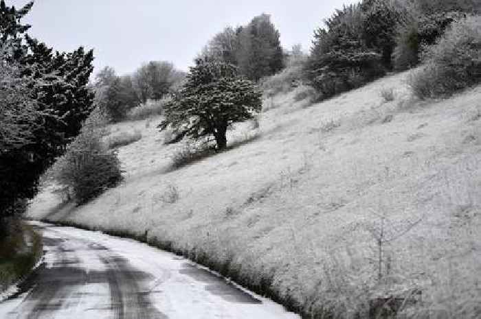 Live weather updates with snow and temperatures of -2C set to sweep across Surrey as Met Office issues yellow warning