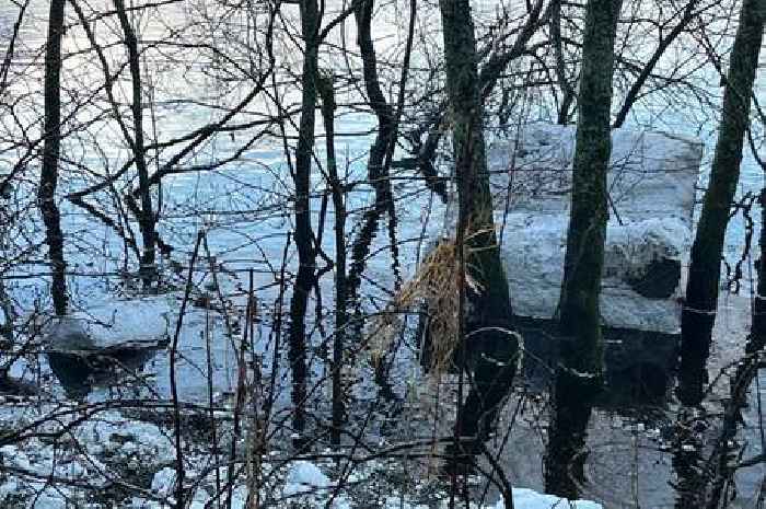 Environmental watchdog called over 'unacceptable' plastic in Loch Lomond after storm