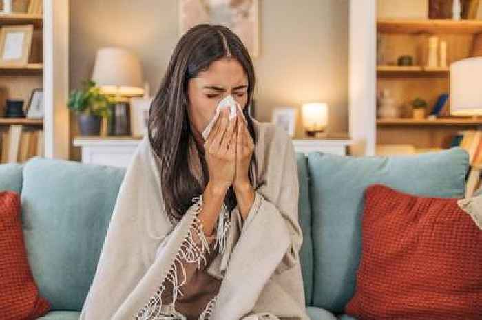 Doctor shares simple way to tell if you have flu or a cold as cases rise