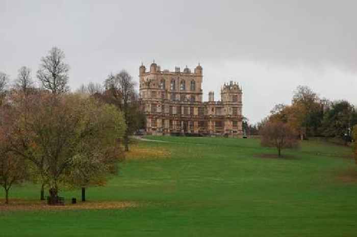 Visitors set to be charged to enter Wollaton Hall and museum