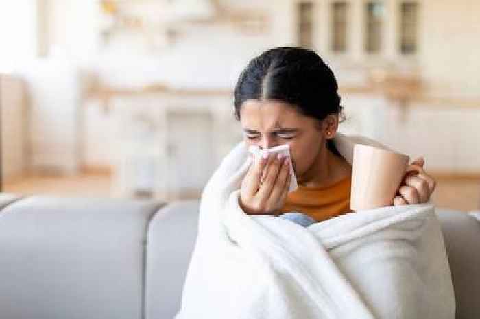 'I'm a doctor – there's a simple way to tell whether you have flu or a cold'