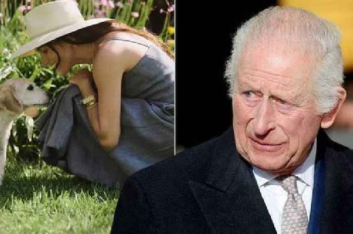 Meghan Markle's 'poignant' message to King in emotional social media post as he misses his grandkids