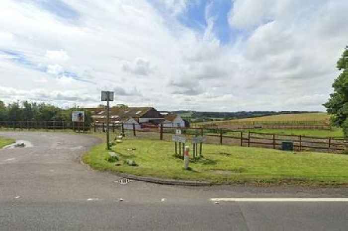 Popular Ayrshire riding school to close after more than 40 years in 'hardest decision'