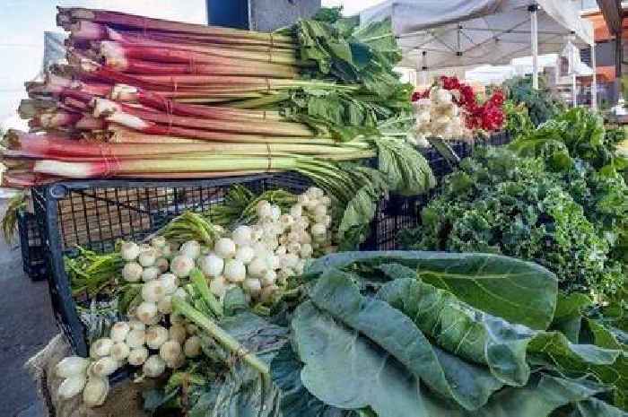 Urgent warning issued to gardeners growing one particular vegetable in garden