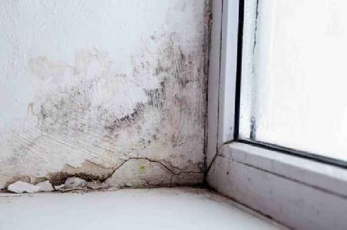 Woman cleans mould-infested child's bedroom in incredible transformation