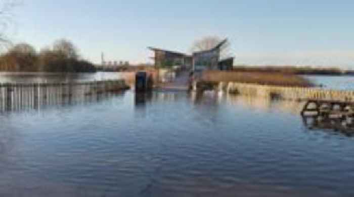 Nature reserve 'struggling' due to wet weather