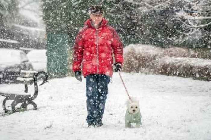 Dog expert issues 'hypothermia or frostbite' warning over cold-weather walks for your pooch