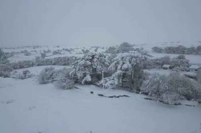 Cornwall turned into snowy winter wonderland as captured in stunning photos