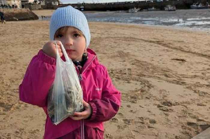 'Zero excuse' for litter after girl, 4, takes it on herself to clean beach