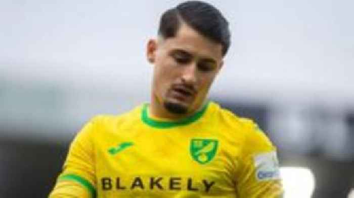 Norwich's Sainz banned for six matches for spitting