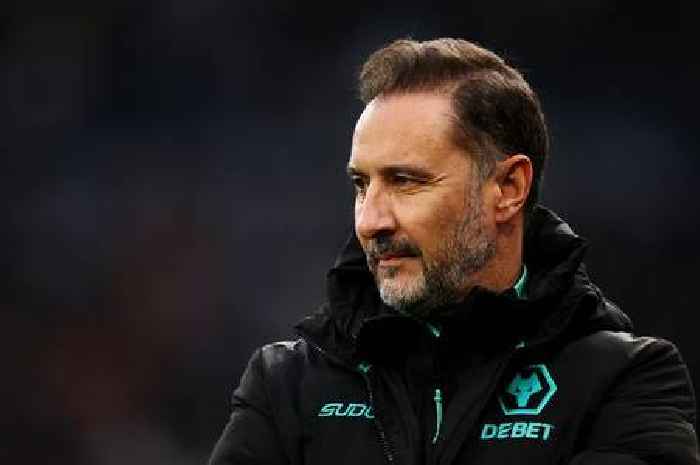 'Disaster' - What Bristol City can expect from Wolves and Vitor Pereira in FA Cup clash