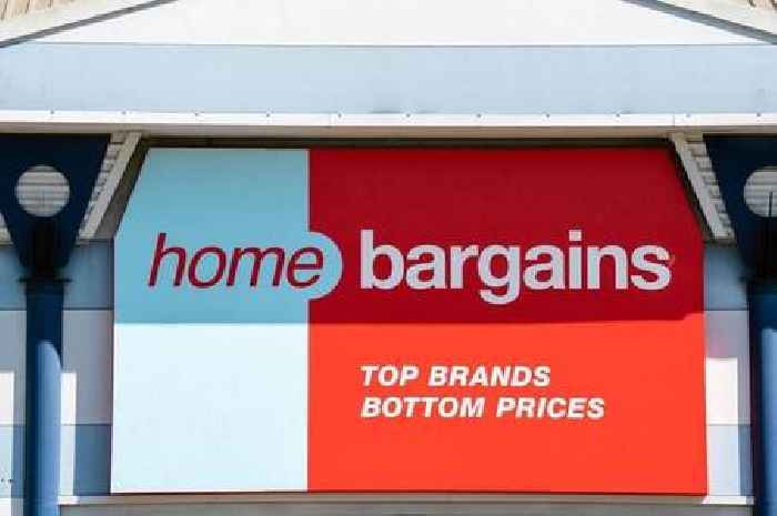 'Disturbing' Home Bargains toy stuns shoppers - but everyone wants one