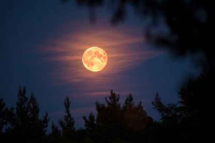 How to see the first 'Wolf' full moon of 2025 and when it will light up UK skies