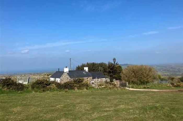 Remote rural ​cottage with breathtaking panoramic views and cows in the garden