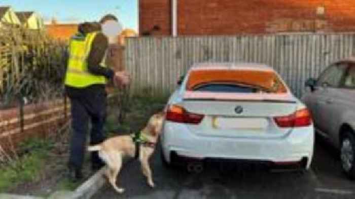 Dog helps sniff out illegal vapes and tobacco