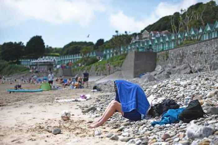 The Welsh beach where people scramble to rent exclusive wooden huts for over £2000