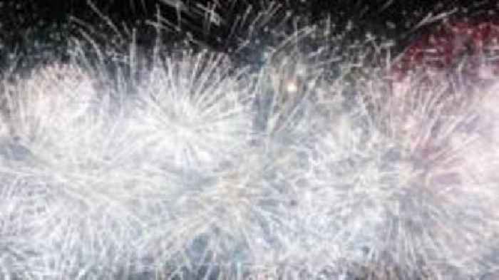 Petition wants firework law change to help animals