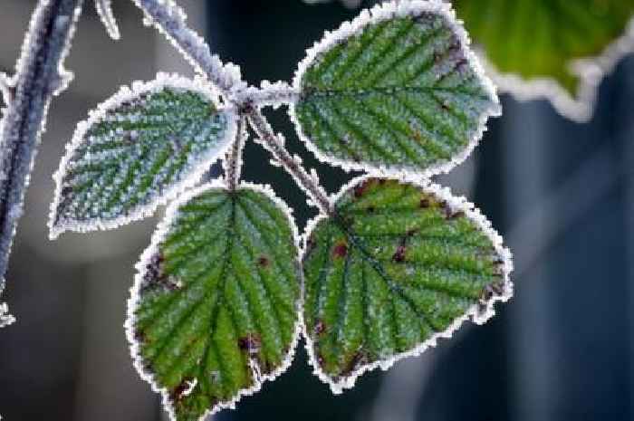 'Just 10' cities and towns in England face more snow before end of January