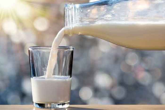 Glass of milk could reduce the risk of bowel cancer, new study shows