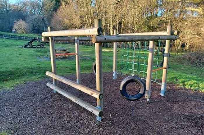 Popular playpark in Dumfries and Galloway forest closes to fell diseased trees