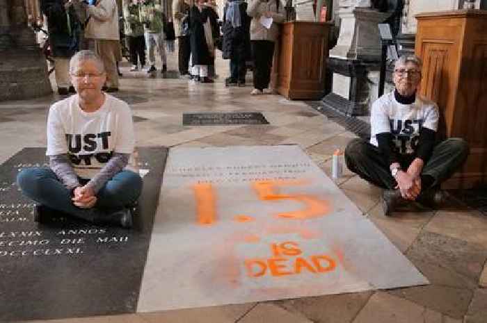 Just Stop Oil protesters charged over spray-paint on Charles Darwin’s grave