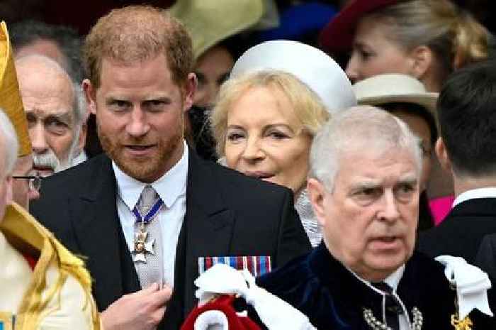 The secret nickname Palace staff have for Prince Harry and Prince Andrew amid Royal controversies