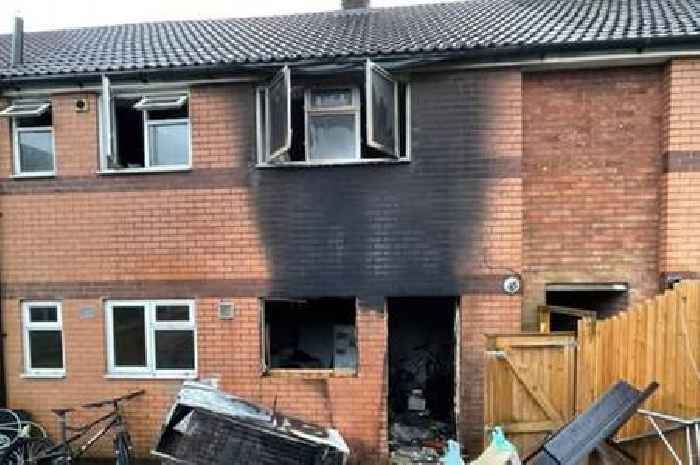 Guinea pigs rescued by firefighters from burning Leicestershire home