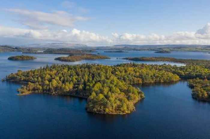 Loch Lomond 'wallaby island' plans approved as TV presenter Kirsty Young set to open holiday lodge