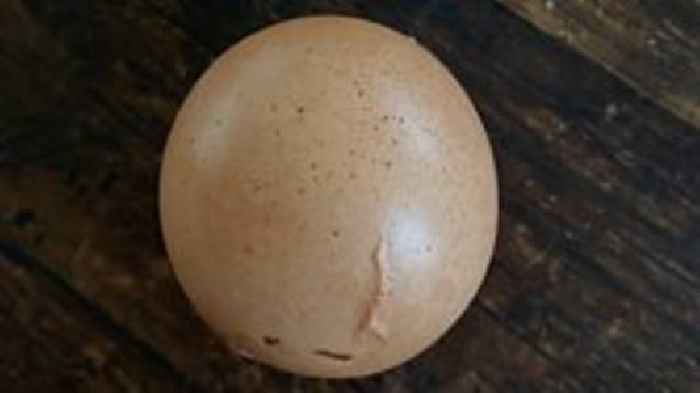 Rare round egg found in Devon