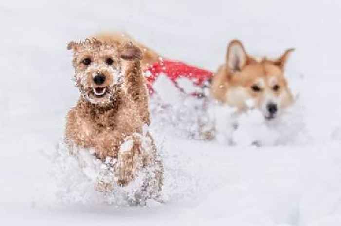 UK set for 400-mile snow bomb next week which will hammer 'whole' of England